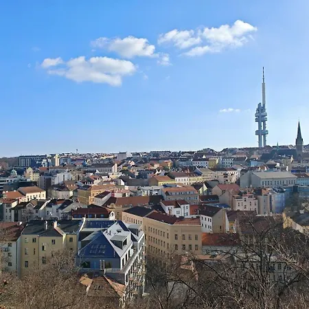 Lägenhet In Zizkov -202-